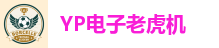 YP电子老虎机